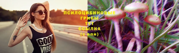 экстази Алексин