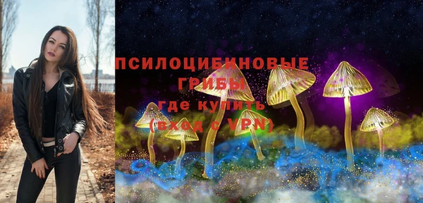 ALPHA PVP Алзамай