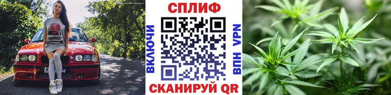Конопля план  Лагань 